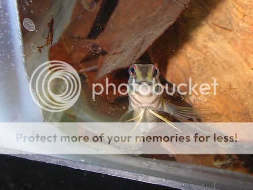DSCN5921.jpg