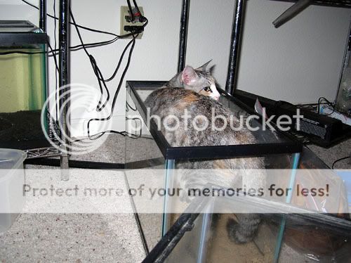DSCN6467.jpg