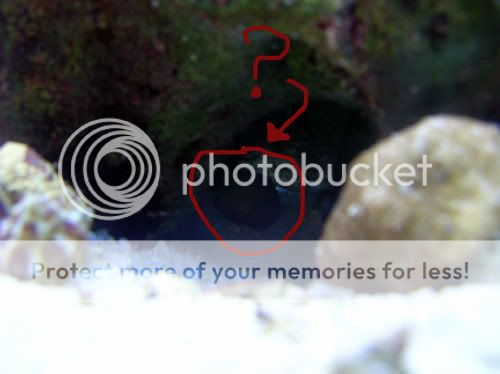 DSCN6805.jpg