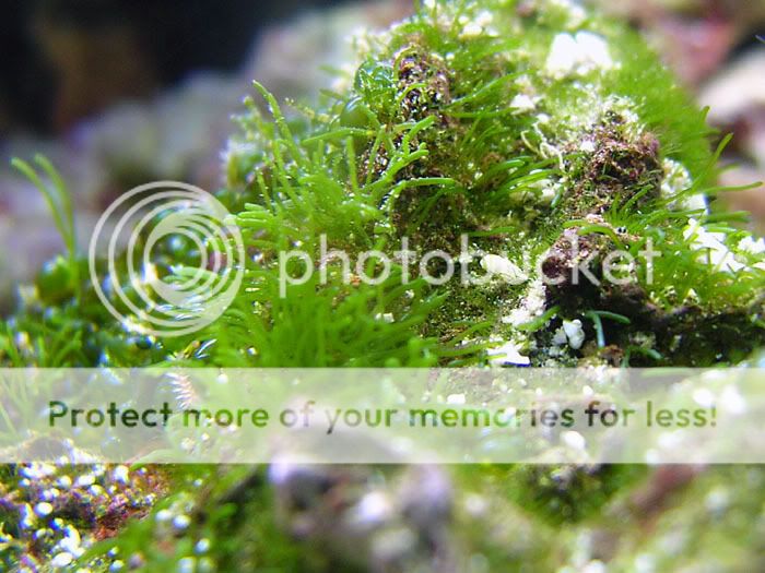 DSCN6848.jpg