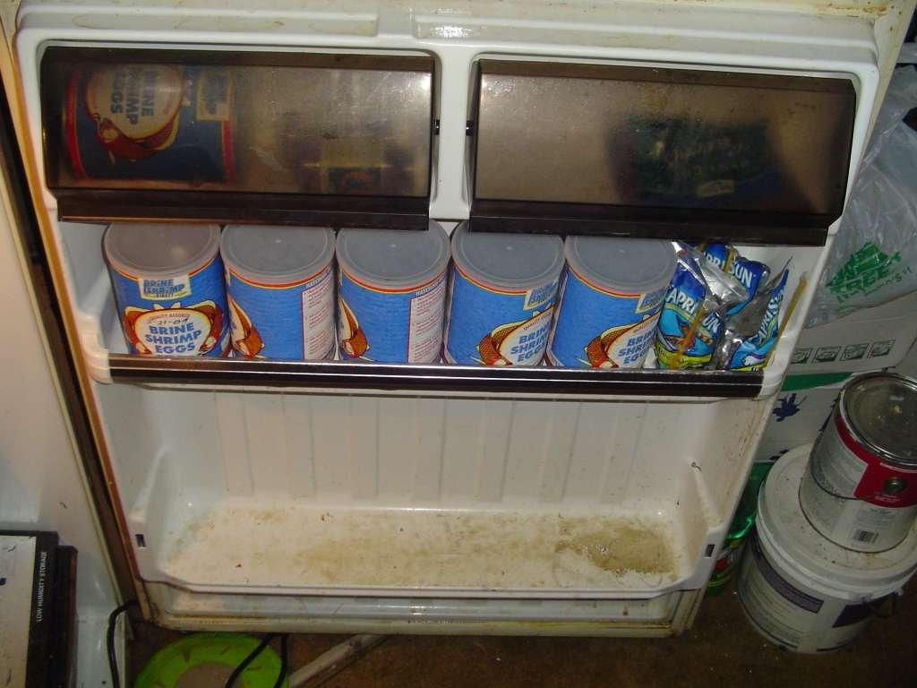 fridge0041.jpg