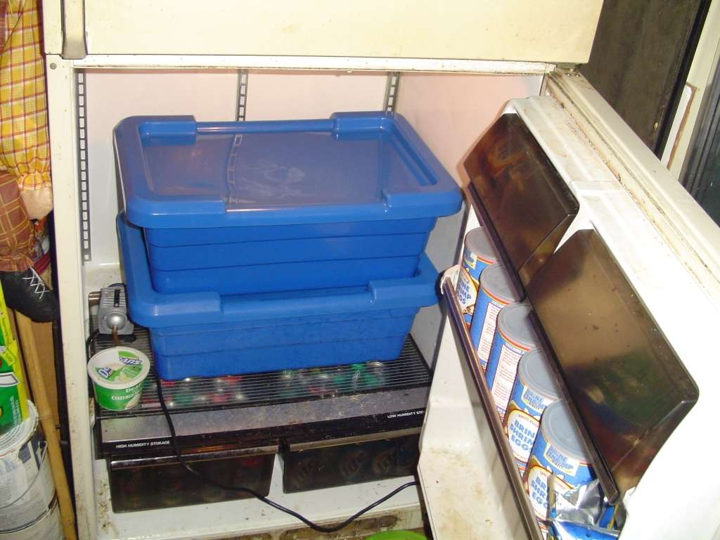 fridge0031.jpg