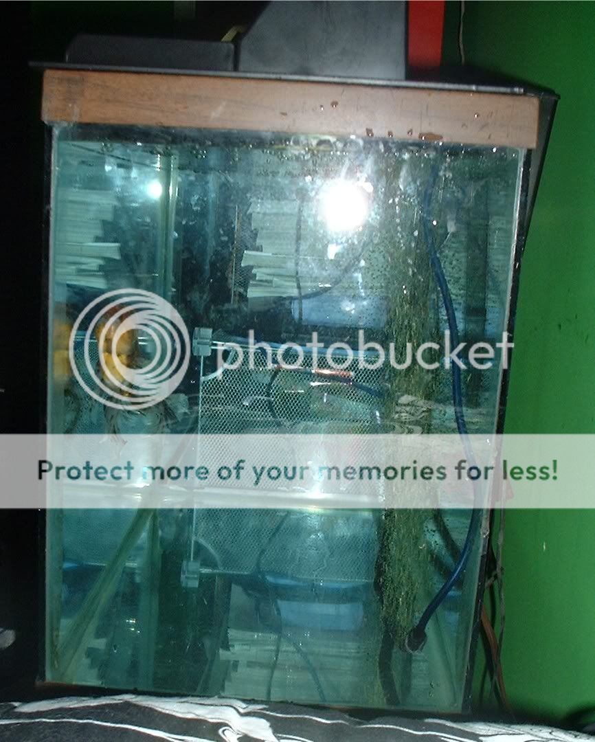 newtank2.jpg