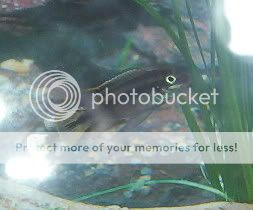 000_0717.jpg